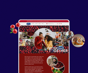 Portfolio carousel image 28